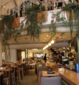 A Romance in Spanish and Latin