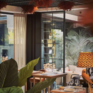 @leopard.casablanca: Elegance Redefined