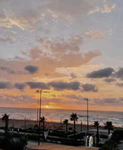 Relax at La Ola Rooftop, courtesy of @laolarooftop